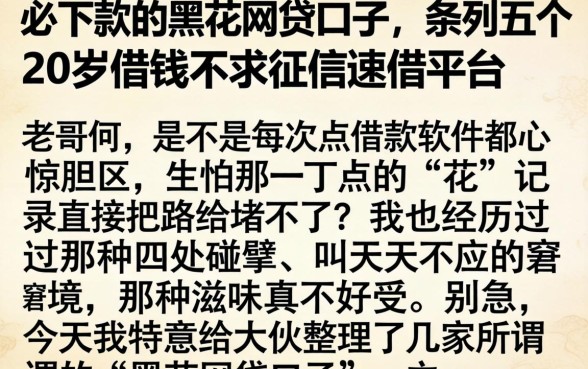 必下款的黑花网贷口子，条列五个20岁借钱不求征信速借平台