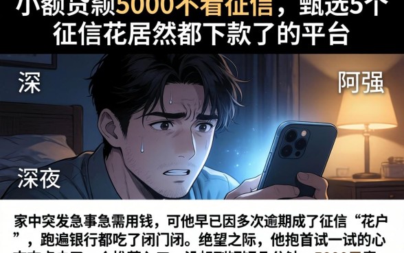 小额贷款5000不看征信，甄选5个征信花居然都下款了的平台