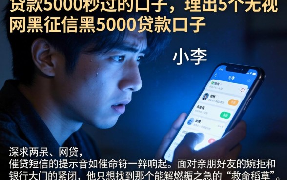 贷款5000秒过的口子,理出5个无视网黑征信黑5000贷款口子