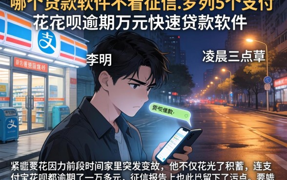 哪个贷款软件不看征信，罗列5个支付宝花呗逾期万元快速贷款软件
