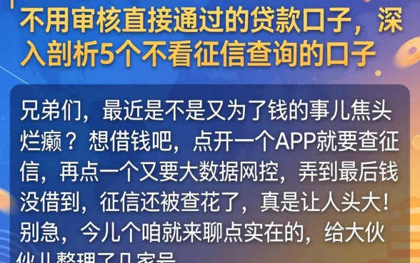 不用审核直接通过的贷款口子,深入剖析5个不看征信查询的口子
