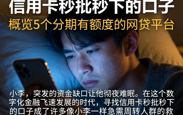 信用卡秒批秒下的口子，概览5个分期有额度的网贷平台