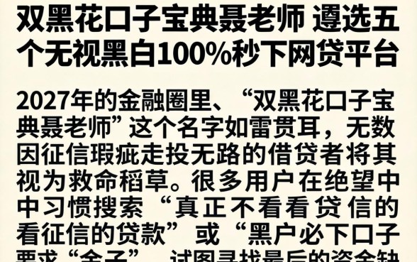 双黑花口子宝典聂老师，遴选五个无视黑白100%秒下网贷平台