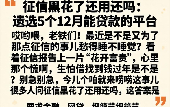 征信黑花了还用还吗,遴选5个12月能贷款的平台