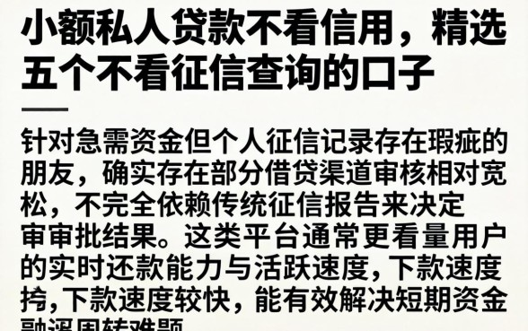 小额私人贷款不看信用，精选五个不看征信查询的口子
