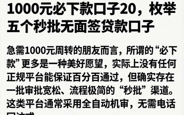 1000元必下款的口子20，枚举五个秒批无面签贷款口子