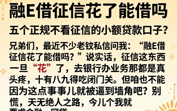 融E借征信花了能借吗，细致阐述五个正规不看征信的小额贷款口子