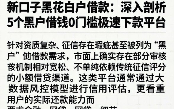 新口子黑花白户借款,深入剖析5个黑户借钱0门槛极速下款平台