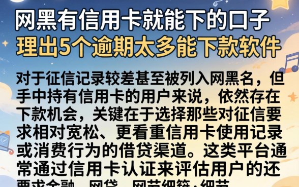 网黑有信用卡就能下的口子，理出5个逾期太多能下款软件
