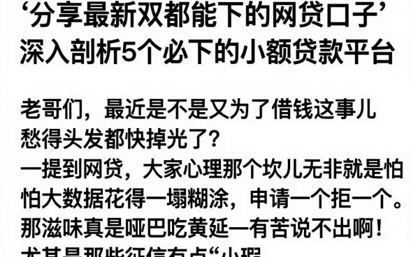 分享最新双都能下的网贷口子,深入剖析5个必下的小额贷款平台