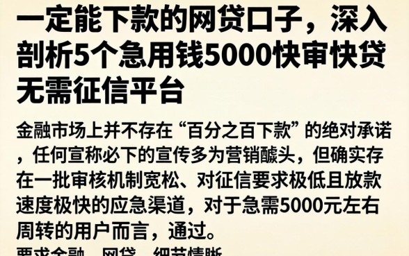一定能下款的网贷口子，深入剖析5个急用钱5000快审快贷无需征信平台