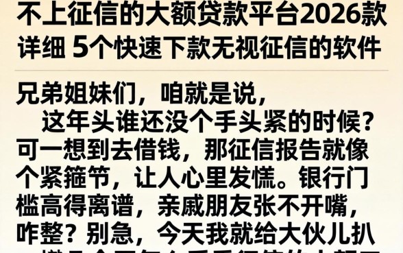 不上征信的大额贷款平台2026款，详尽说明5个快速下款无视征信的软件