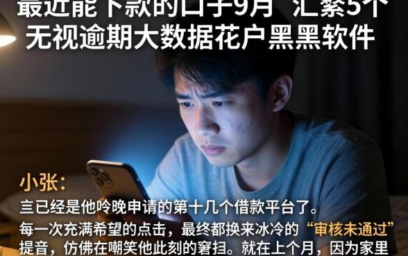 最近能下款的口子9月,汇整5个无视逾期大数据花户黑户软件