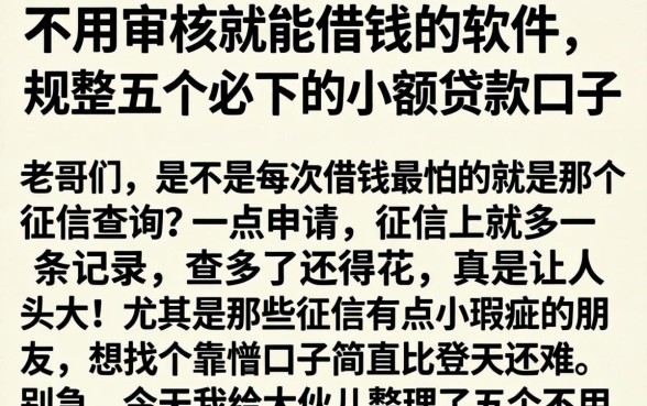 不用审核就能借钱的软件,规整五个必下的小额贷款口子