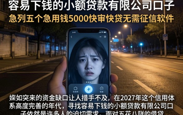 容易下钱的小额贷款有限公司口子,条列五个急用钱5000快审快贷无需征信软件