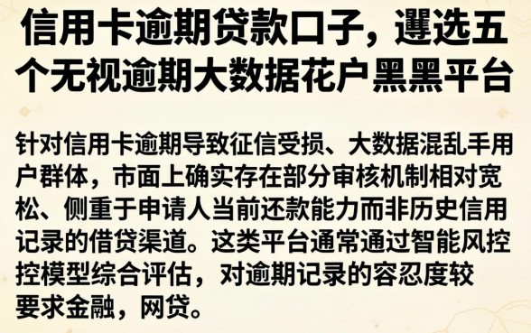 信用卡逾期贷款口子，遴选五个无视逾期大数据花户黑户平台