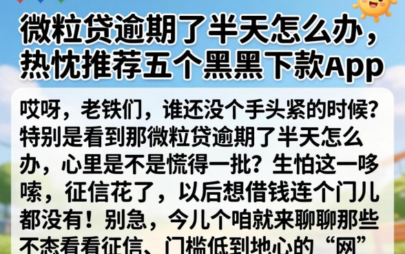 微粒贷逾期了半天怎么办，热忱推荐五个黑户下款app