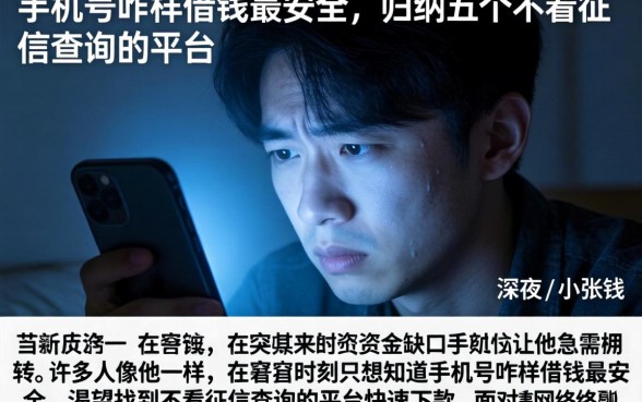 手机号咋样借钱最安全，归纳五个不看征信查询的平台