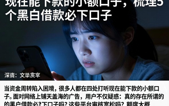 现在能下款的小额口子，梳理5个黑户借款必下口子