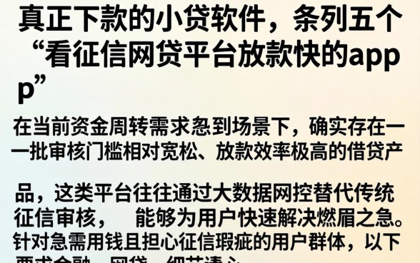 真正下款的小贷软件,条列五个不看征信网贷平台放款快的app