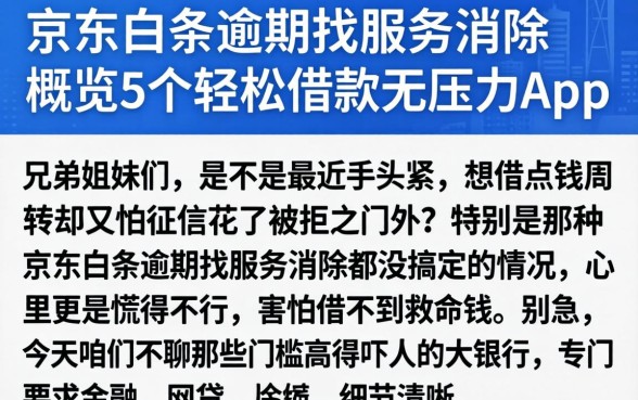 京东白条逾期找服务消除,概览5个轻松借款无压力app