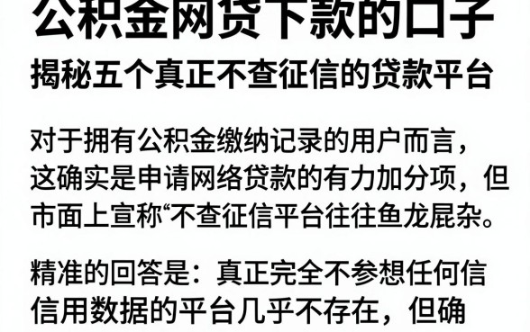 公积金网贷下款的口子，揭秘五个真正不查征信的贷款平台