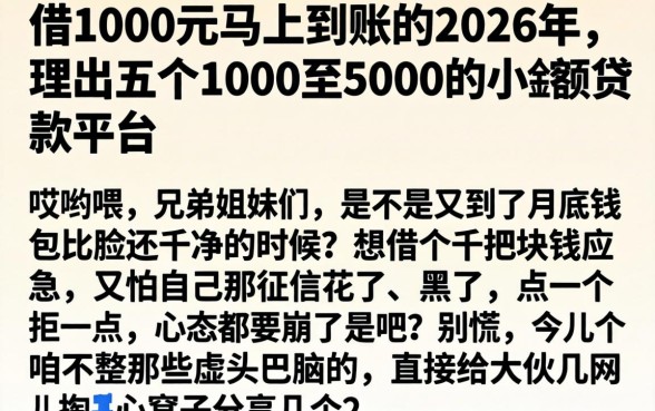 借1000元马上到账的2026年，理出五个1000至5000的小额贷款平台