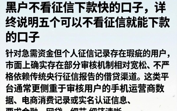 黑户不看征信下款快的口子,详尽说明五个可以不看征信就能下款的口子
