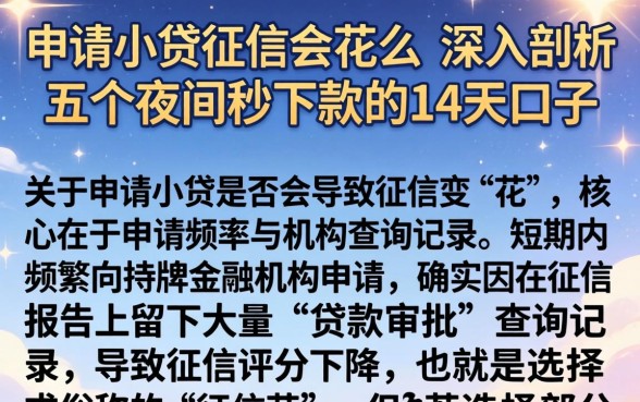 申请小贷征信会花么，深入剖析五个夜间秒下款的14天口子