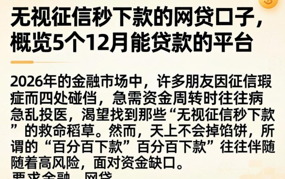 无视征信秒下款的网贷口子,概览5个12月能贷款的平台