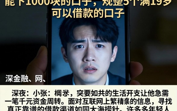 能下1000块的口子,规整5个满19岁可以借款的口子