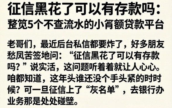 征信黑花了可以有存款吗，规整5个不查流水的小额度贷款平台