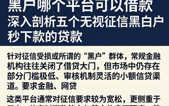 黑户哪个平台可以借款，深入剖析五个无视征信黑白户秒下款的贷款