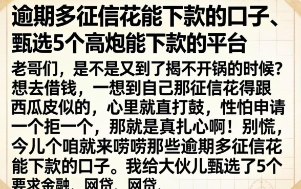 逾期多征信花能下款的口子,甄选5个高炮能下款的平台