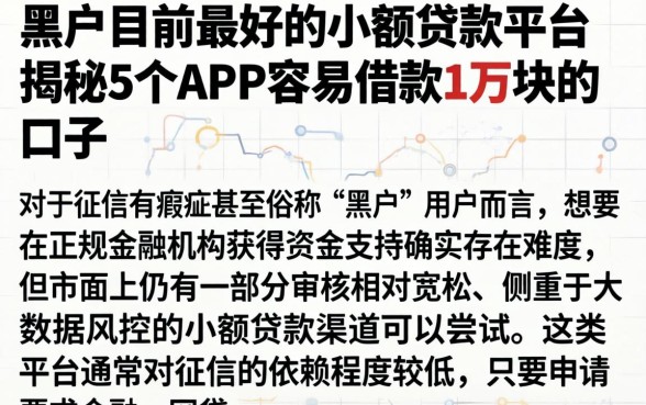 黑户目前最好的小额贷款平台，揭秘5个APP容易借款1万块的口子