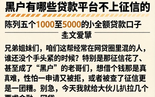 黑户有哪些贷款平台不上征信的，陈列五个1000至5000的小额贷款口子
