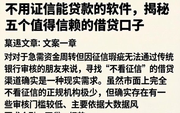 不用征信能贷款的软件，揭秘五个值得信赖的借贷口子