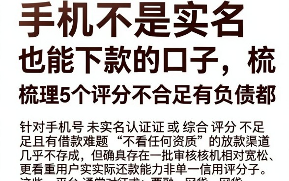 手机不是实名也能下款的口子,梳理5个综合评分不足有负债都能下款app