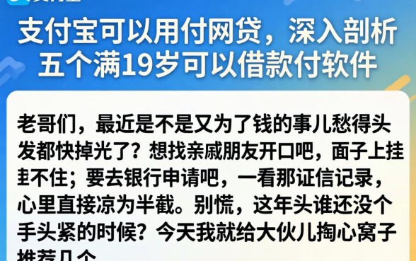 支付宝可以用的网贷，深入剖析五个满19岁可以借款的软件