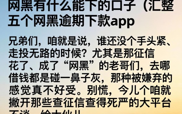 网黑有什么能下的口子，汇整五个网黑逾期下款app
