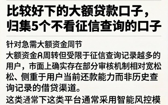 比较好下的大额贷款口子，归集5个不看征信查询的口子
