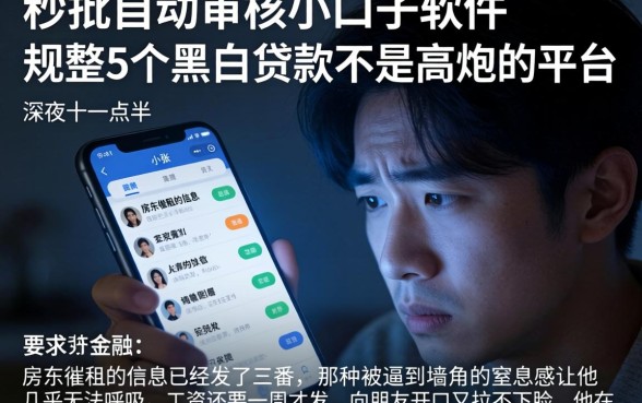 秒批自动审核小口子的软件，规整5个黑白贷款不是高炮的平台