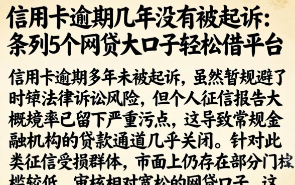 信用卡逾期几年没有被起诉，条列5个网贷大口子轻松借平台