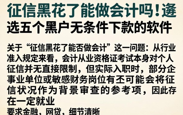 征信黑花了能做会计吗，遴选五个黑户无条件下款的软件