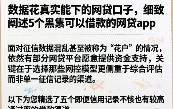 数据花真实能下的网贷口子，细致阐述5个黑户可以借款的网贷app