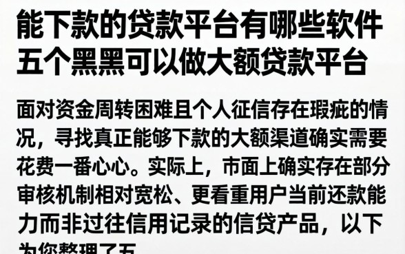能下款的贷款平台有哪些软件，概括五个黑户可以做大额贷款平台