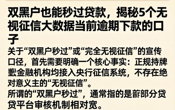 双黑户也能秒过贷款，揭秘5个无视征信大数据当前逾期下款的口子