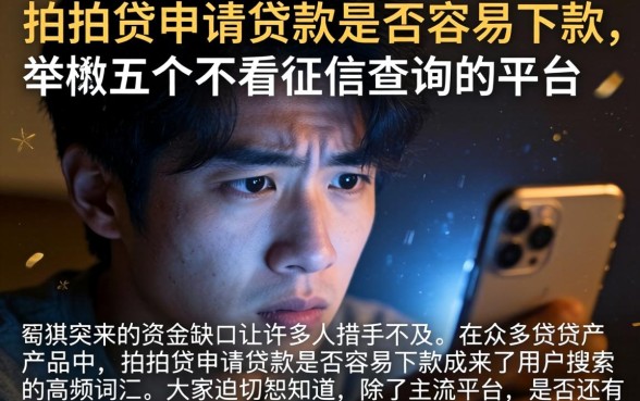 拍拍贷申请贷款是否容易下款，枚举五个不看征信查询的平台