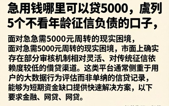 急用钱哪里可以贷5000，胪列5个不看年龄征信负债的口子