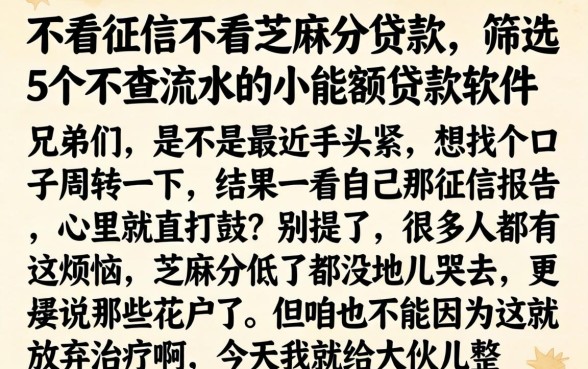 不看征信不看芝麻分贷款，筛选5个不查流水的小额度贷款软件
